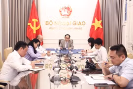 越南外交部长黎怀忠与加拿大外交部长阿妮塔·阿南德通电话 图自越南外交部
