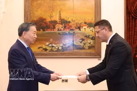 苏林总书记、国家主席会见巴勒斯坦大使沙迪·阿布·扎尔卡（Shadi Abu Zarqa）