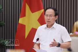 越南政府副总理黎进珠发表讲话 图自越通社