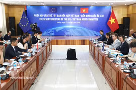 越南与欧盟举行第七次联合委员会会议 图：越通社发
