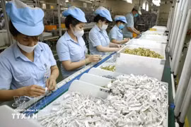 越南松下生活解决方案有限公司位于平阳省新渊市越南—新加坡工业园区（VSIP）的工厂内，家用电器生产场景。（图：越通社）