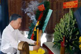 苏林在烈士纪念碑上香 图自越通社