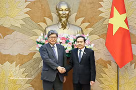 越南国会主席陈青敏会见日本自民党代理干事长萩生田光一 图自越通社
