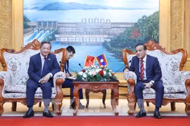 越南驻老挝大使阮明心与老挝党中央委员、万象省委书记、省人民议会主席蓬塔努佩·赛颂巴举行工作会谈 图自越通社