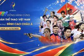 附图 图自VTV