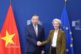 苏林总书记、国家主席会见欧盟委员会主席冯德莱恩 图自越通社