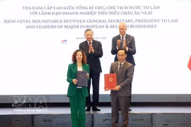 越共中央总书记、国家主席苏林见证合作协议签署。图自越通社