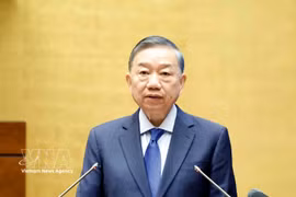 越共中央总书记、国家主席苏林发表讲话 图自越通社