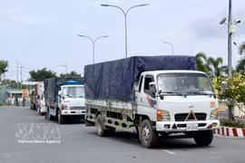 货车在庆平陆路国际口岸集结等待办理进口手续。图自越通社