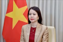 越南外交部副部长阮明姮 图自越通社