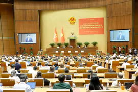 会议全景 图自越通社