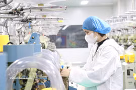 外国直接投资企业群体期待，不断深化的制度革新将营造一个公开透明、持续稳定且更具竞争优势的法律环境。图片来源： 越通社 