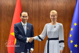 越南外交部长黎怀忠与欧盟外交与安全政策高级代表兼欧盟委员会副主席卡娅·卡拉斯。图片来源：越通社