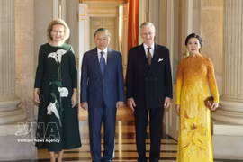 越共中央总书记、国家主席苏林和夫人吴芳璃会见比利时国王菲利普和王后玛蒂尔德。图自越通社