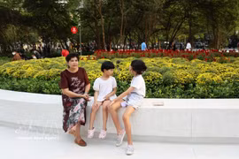 胡志明市民众乐享武文秦街8号地块公园空间，该地块已正式移交给春和坊管理。图片来源： 越通社