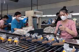 河西湖泰纺织化工公司拥有多批出口至美国和欧洲市场的订单。图片来源：越通社发