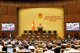  会议全景 图自越通社