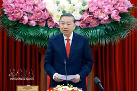 越共中央总书记、国家主席苏林发表讲话 图自越通社