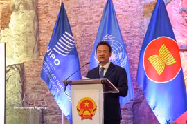 越南常驻日内瓦代表团团长梅潘勇大使发表讲话 图自越通社