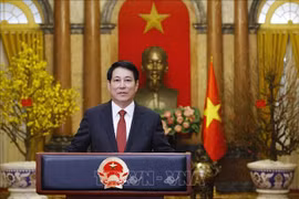 越南国家主席梁强 图自越通社