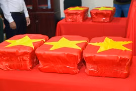 工作组成员将生物样本整齐地放入收纳箱。图:越通社发。 