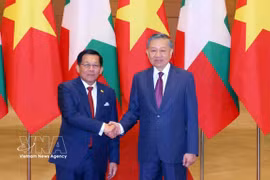 越共中央总书记、国家主席苏林同缅甸总统敏昂莱举行会谈 图自越通社