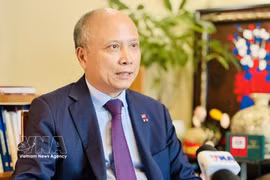 越南驻法国前大使丁全胜 图自越通社
