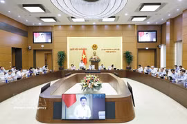 国会副主席阮鸿延发表讲话。图：越通社 