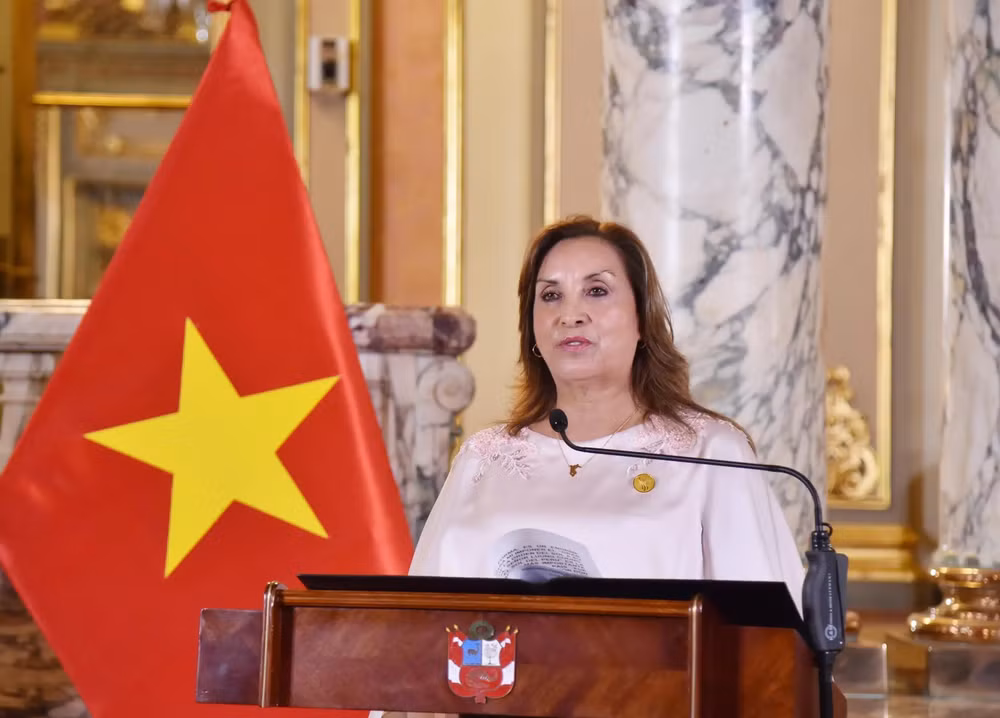chu_tich_nuoc_luong_cuong_va_tong_thong_peru_gap_go_bao_chi_7702834.webp