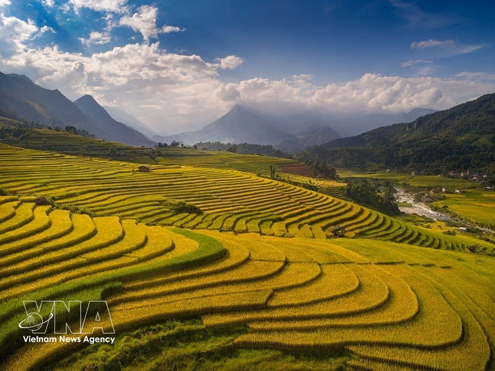 vnanet-potal-ngat-ngay-voi-ve-dep-sapa-vao-mua-lua-chin-6301317.jpg
