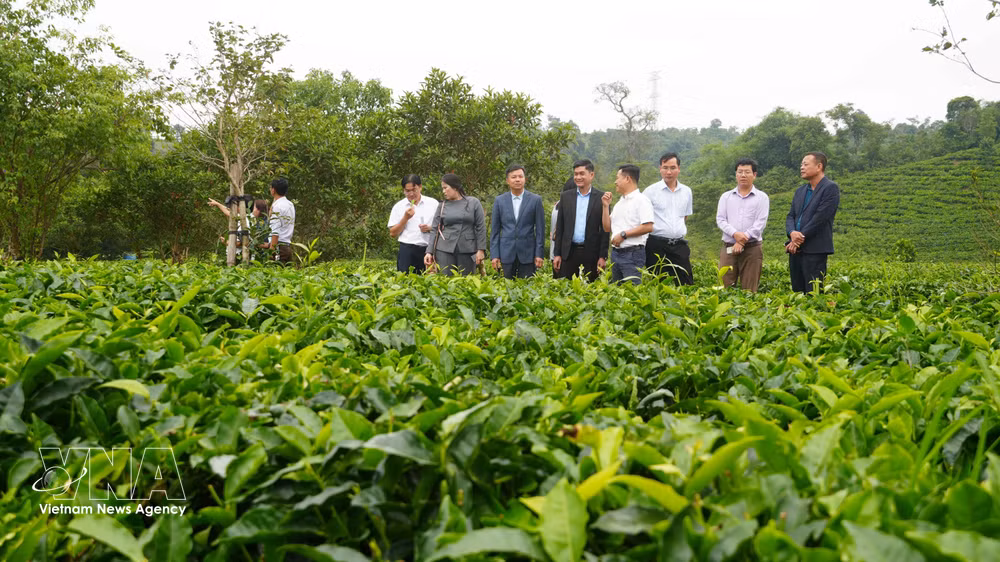 vnanet-potal-danh-thuc-tiem-nang-du-lich-kon-plong-quang-ngai-8730615.jpg