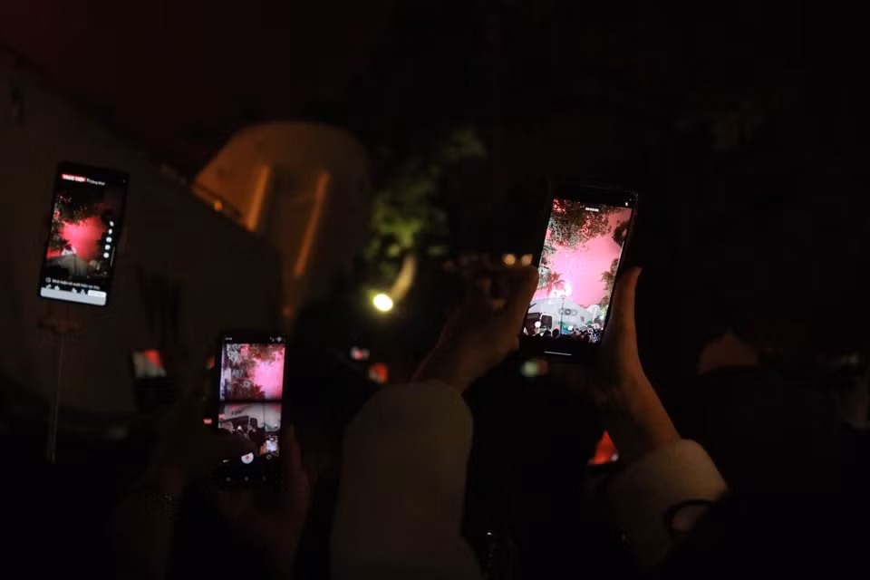 （图自Vietnam+）