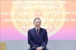 苏林总书记在见面会上发表讲话。图自越通社