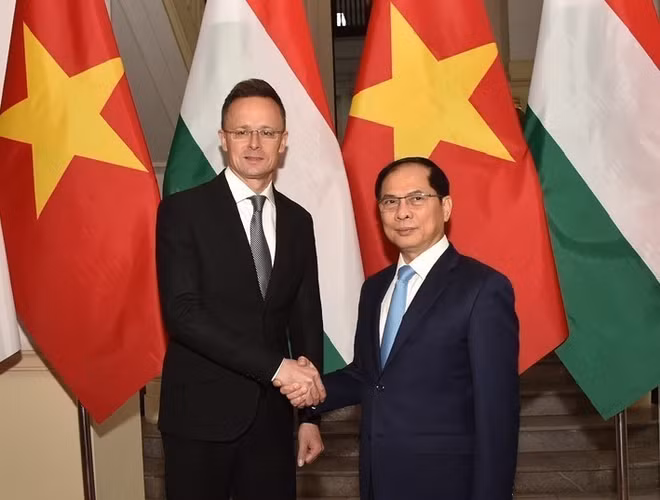 vna-potal-pho-thu-tuong-bo-truong-ngoai-giao-hoi-dam-voi-bo-truong-ngoai-giao-va-kinh-te-doi-ngoai-hungary-7921204.jpg