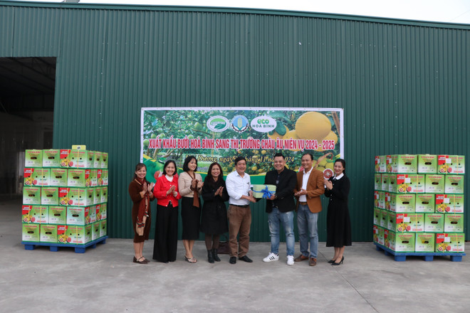 vna-potal-buoi-hoa-binh-xuat-khau-sang-thi-truong-eu-7729199.jpg