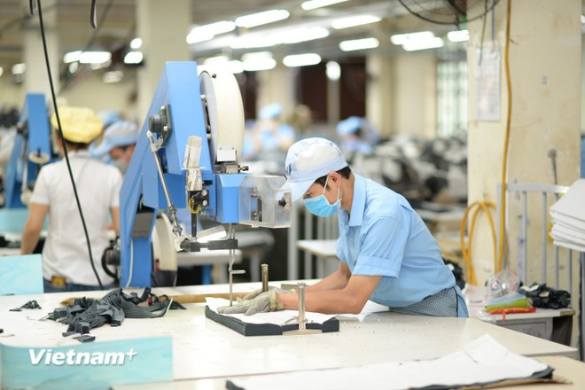 许多企业都集中开发高附加值的品牌,维持市场份额。图自Vietnam+ detmay1.jpg
