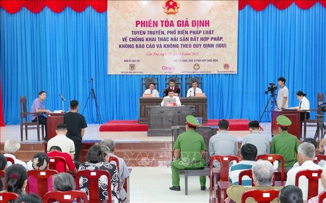 海警第四区司令部在芹苴市陈提乡人民委员会驻地牵头,同《公理报》、第九军区军事法庭和芹苴市委宣教与民运部联合举行“模拟法庭”。图自越通社 iuu1-25825.jpg