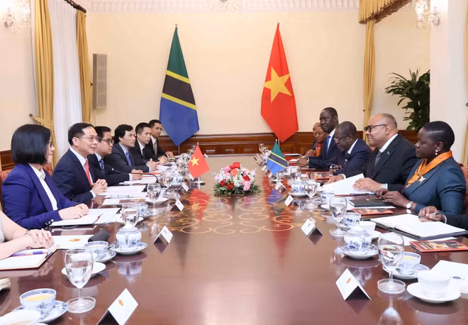 vna-potal-pho-thu-tuong-bo-truong-ngoai-giao-bui-thanh-son-hoi-dam-voi-bo-truong-ngoai-giao-va-hop-tac-dong-phi-nuoc-cong-hoa-thong-nhat-tanzania-8001309.jpg