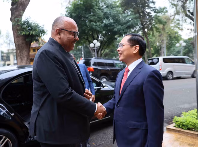 vna-potal-pho-thu-tuong-bo-truong-ngoai-giao-bui-thanh-son-hoi-dam-voi-bo-truong-ngoai-giao-va-hop-tac-dong-phi-nuoc-cong-hoa-thong-nhat-tanzania-8001305.jpg