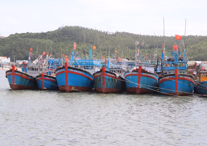 vna-potal-ung-pho-bao-so-13-quang-ngai-chu-dong-tu-som-de-giam-thiet-hai-8386002.jpg
