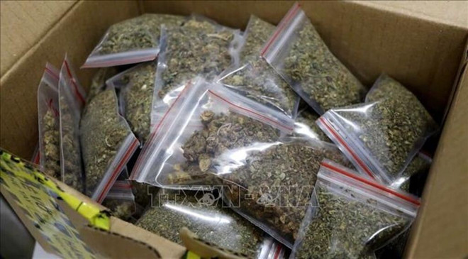 伪装成普通货物的毒品和大麻。图自越通社 201746-vna-potal-bat-giu-tong-so-26-doi-tuong-trong-duong-day-buon-ban-ma-tuy-can-sa-luong-lon-tren-khong-gian-mang-stand.jpg