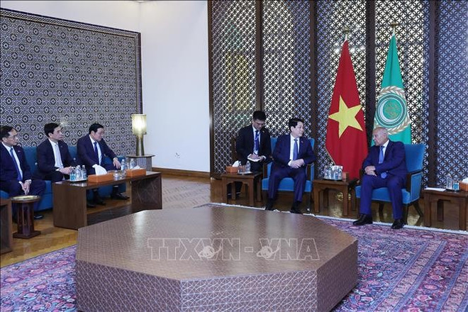 越南国家主席梁强会见阿盟秘书长艾哈迈德·阿布·盖特。图自越通社 gap-go.jpg