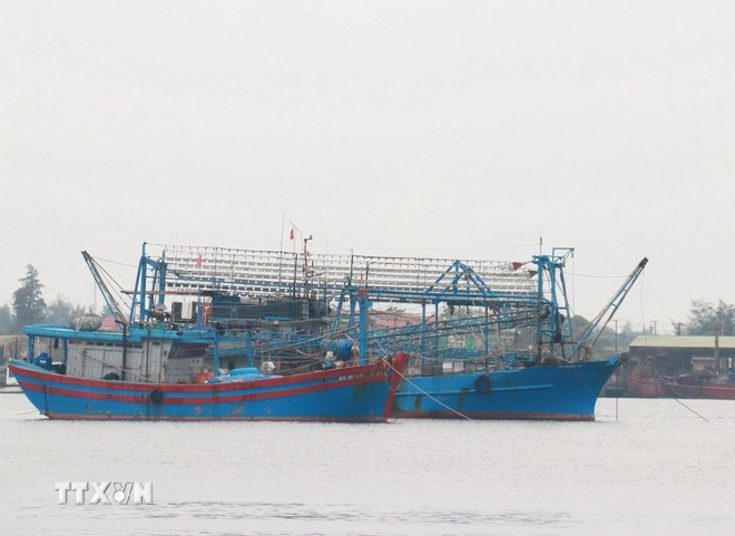 渔船进港避难。图自越通社 bao-so-1-tranh-bao.jpg
