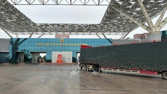 这批新鲜椰子是自2024年北仑二号口岸正式办理新鲜椰子通关手续以来出口的第二批。图自越通社 dua1-5825.jpg