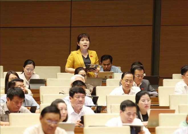 广宁省代表阮氏秋河发表讲话。图自越通社 quang-ninh-140525.jpg
