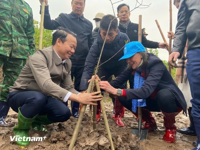 越南自然资源与环境部部长杜德辉和联合国开发计划署驻越南首席代表拉姆拉·阿勒哈利迪共同植树。图自Vietnam+ tet-trong-cay-6731.jpg