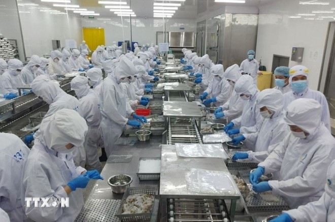 虾类加工链。图自越通社 xuat-khau-thuy-san-1005.jpg