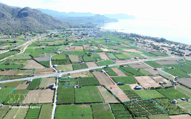 vnanet-potal-trien-khai-cac-du-an-thanh-phan-nha-may-dien-hat-nhan-ninh-thuan-8049144.jpg