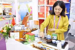 越南向中国和东盟推介高质量产品