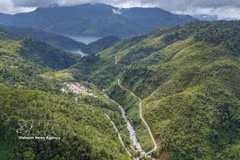 岘港：唤醒园林业与山区经济价值